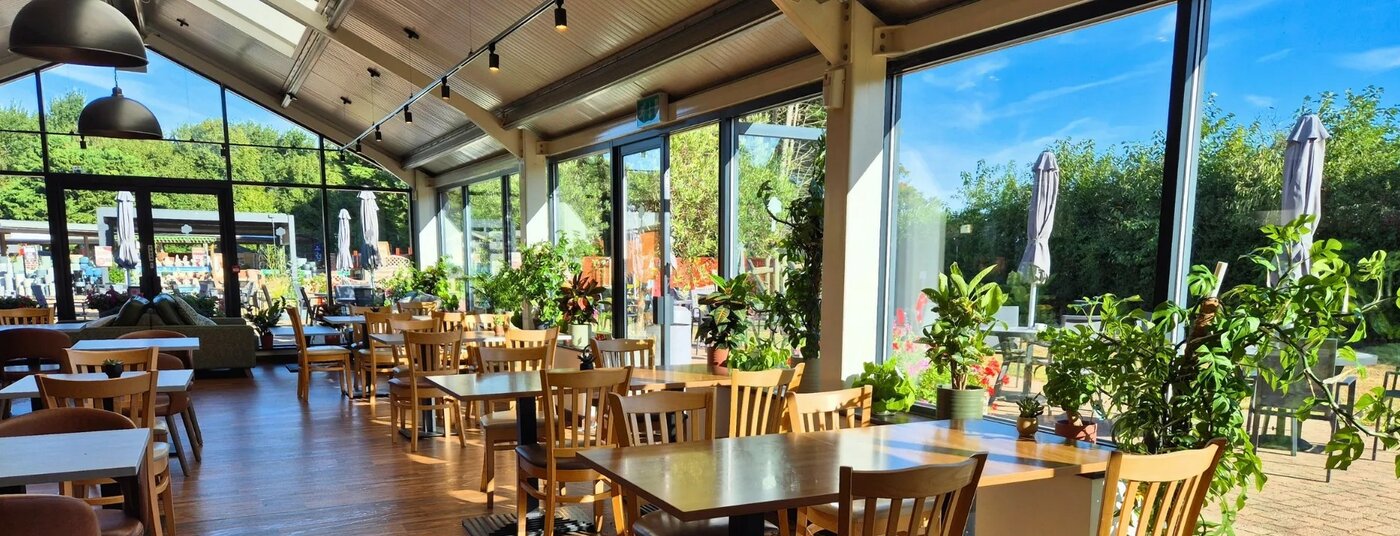 Welcome (Chairs) Welcome