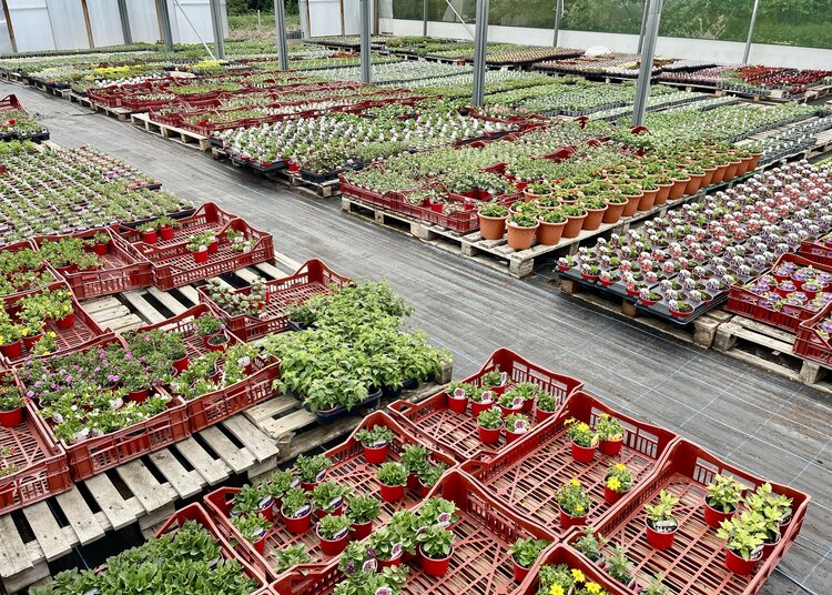 Welcome (Nursery) Welcome