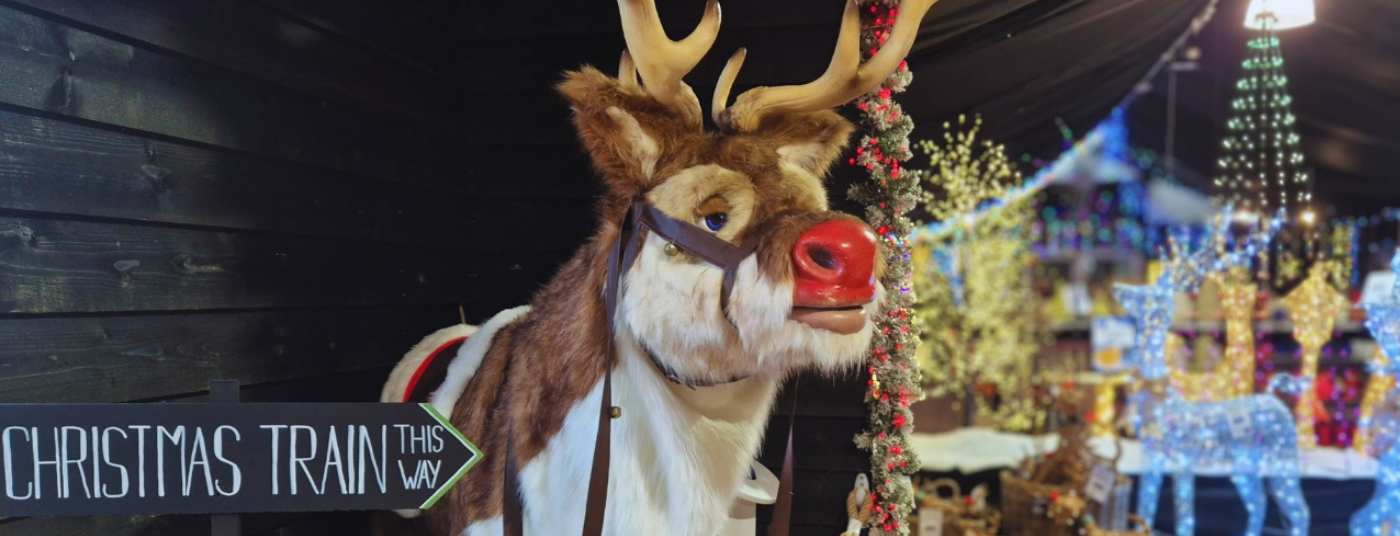 Welcome (Reindeer) Welcome