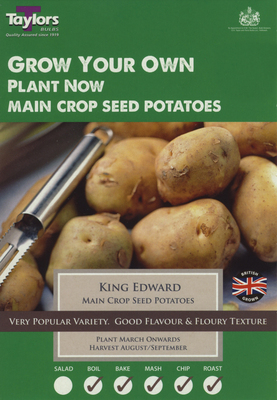 10 KING EDWARD SEED POTATOES