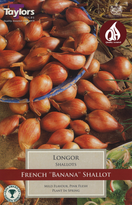 10 LONGOR FRENCH SHALLOTS