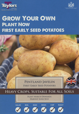 10 PENTLAND JAVELIN SEED POTATOES