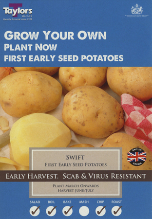 10 SWIFT SEED POTATOES