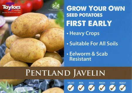 2KG SEED POTATO BAG - PENTLAND JAVELIN