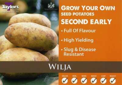 2KG SEED POTATO BAG - WILJA