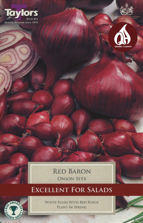 50 RED BARON ONION SETS