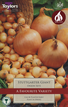 50 STUTTGARTER GIANT ONIONS