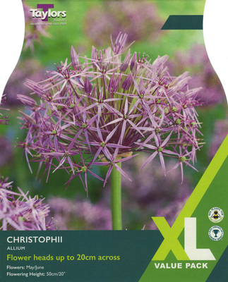 ALLIUM CHRISTOPHII