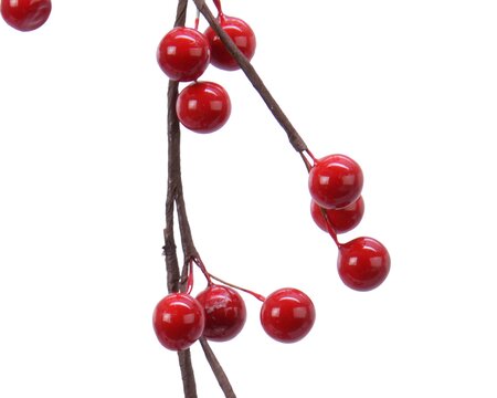 BERRIES GARLAND - image 2