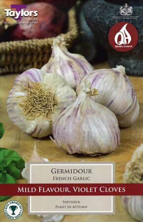 FRENCH GARLIC GERMIDOUR