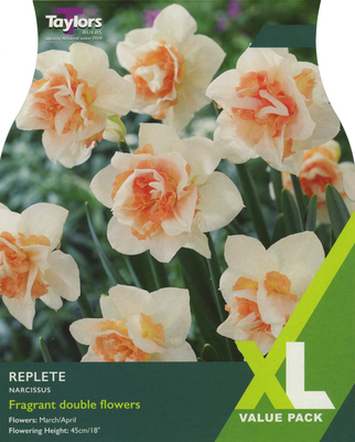 NARCISSI REPLETE