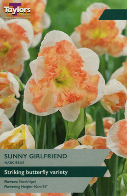 NARCISSI SUNNY GIRLFRIEND