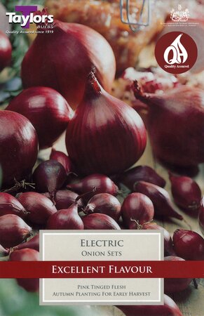 ONION ELECTRIC