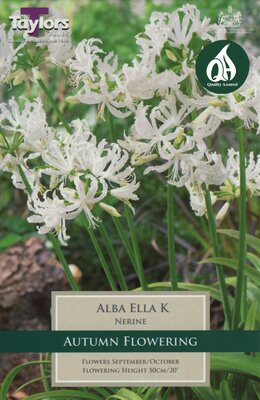 NERINE ALBA ELLA K