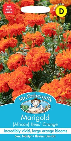 MARIGOLD (AFRICAN) KEES' ORANGE