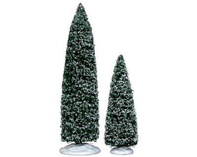 SNOWY JUNIPER TREE, LARGE & MEDIUM