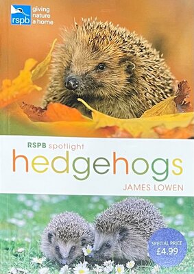 RSPB SPOTLIGHT HEDGEHOGS