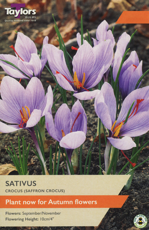 SATIVUS