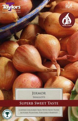 SHALLOT JERMOR