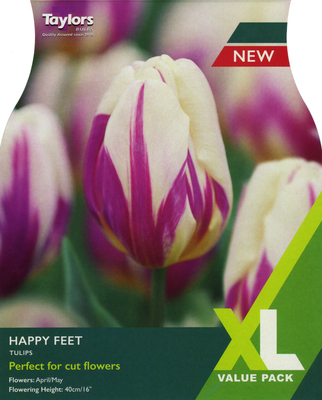 TULIP HAPPY FEET